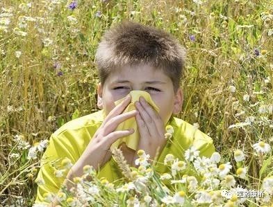 如何预防季节性过敏性鼻炎