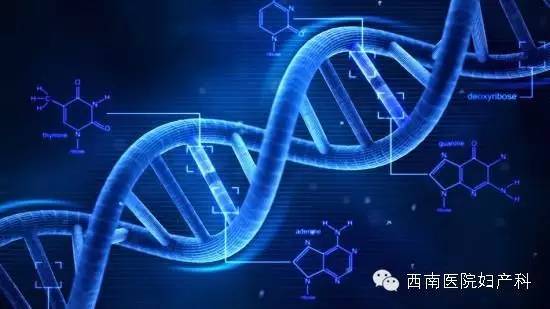 重庆西南医院妇产科特色门诊之遗传咨询、产前