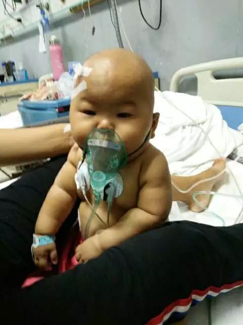 命运捉弄人:鹤壁六个月宝宝患白血病,急等乡亲