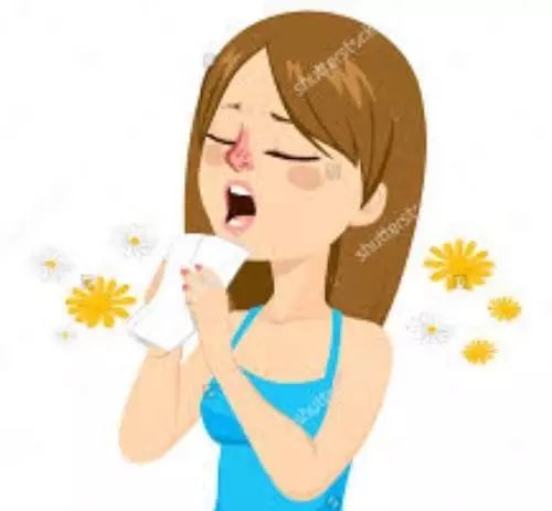春天里,花粉过敏太难受了:眼睛痒,鼻涕水,喷嚏声