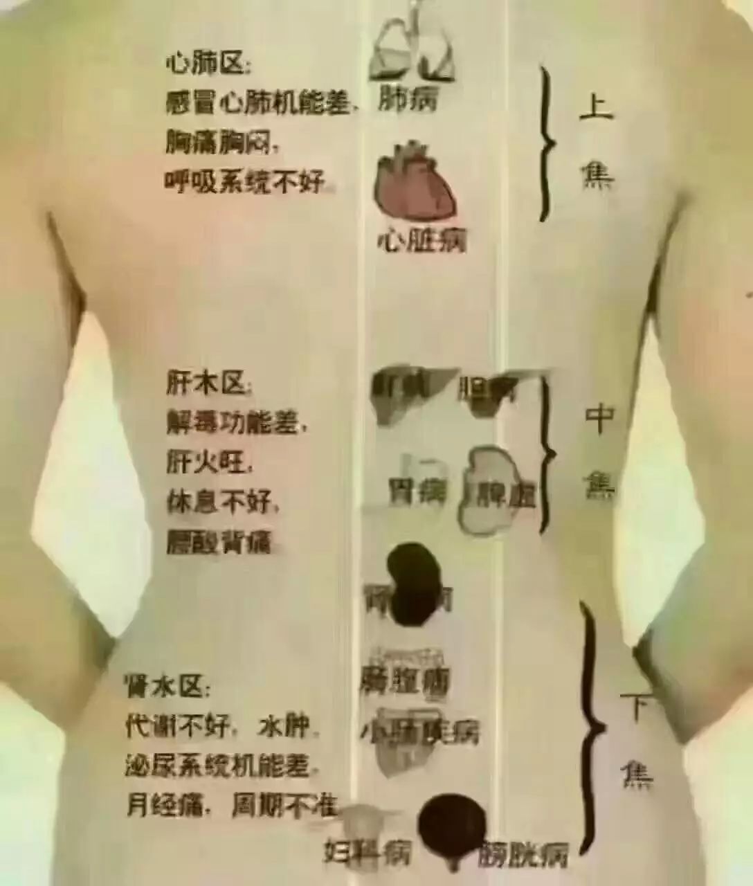 王晓萍增寿堂专业调理根治:鼻炎,咽炎,皮肤病,胃