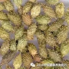 鼻炎膏 : 治疗各种鼻炎. 鼻窦炎. 鼻息肉. 让你的