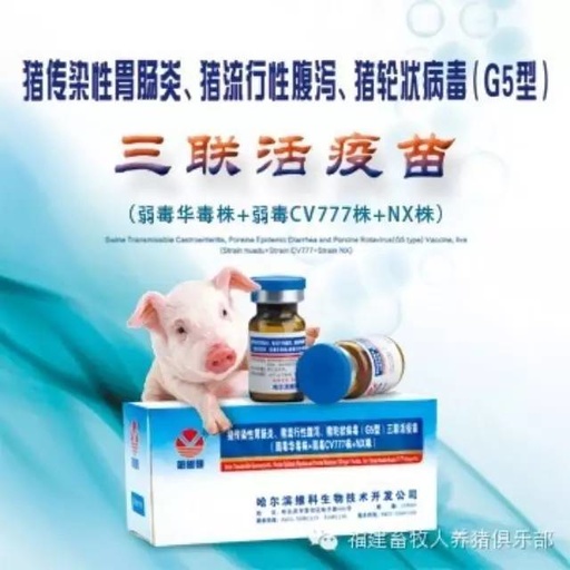 【产品快讯】猪病毒性腹泻三联活疫苗推广中