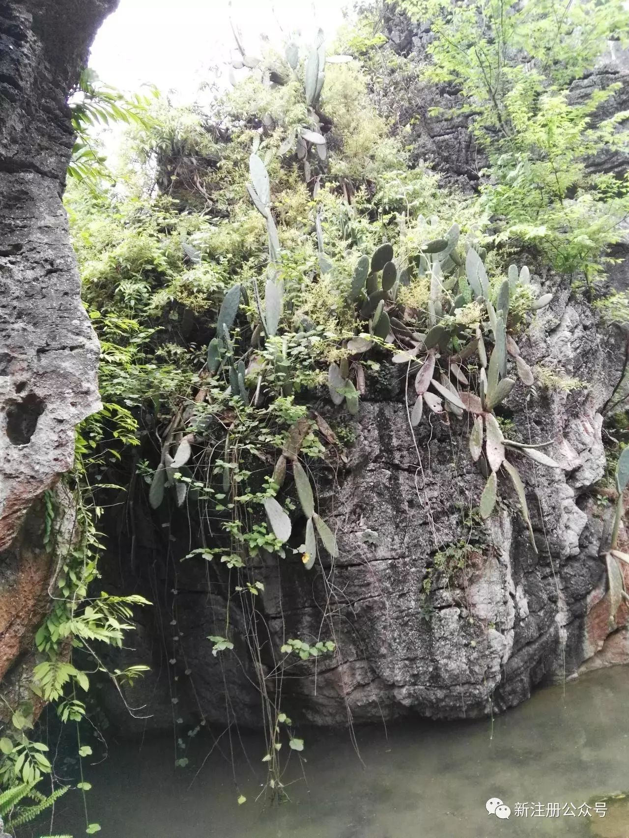 马宽玉主任医师运用中医药治疗皮肤病经验探析