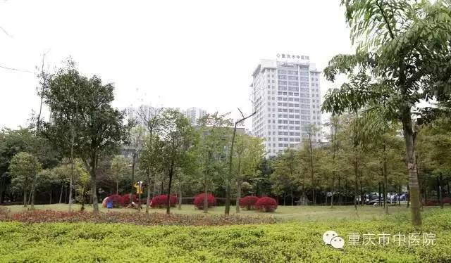 【招贤纳才】2016年重庆市中医院引进高层次