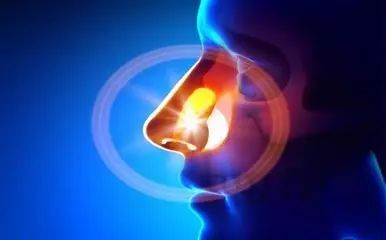 过敏性鼻炎的临床特效穴