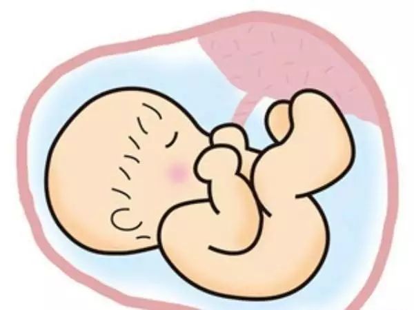 好孕|读懂宝宝的语言,关于「数胎动」的那些