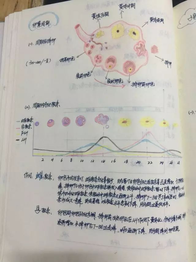 医生笔记潦草?妇产科医生表示不服(内含小福利