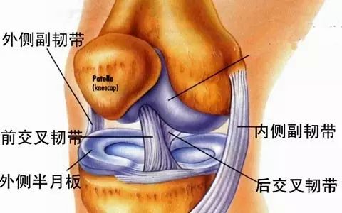 膝关节软组织损伤伴中药外敷过敏感染|佑三案