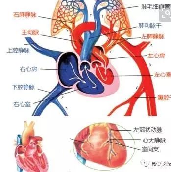 最新丨2016中医执业医师实践技能真题\/答案(全